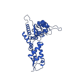 21882_6wrf_A_v1-1
ClpX-ClpP complex bound to GFP-ssrA, recognition complex