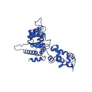 21882_6wrf_B_v1-1
ClpX-ClpP complex bound to GFP-ssrA, recognition complex