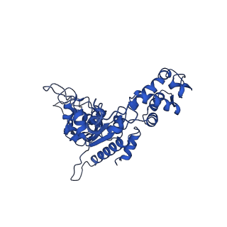 21882_6wrf_C_v1-1
ClpX-ClpP complex bound to GFP-ssrA, recognition complex