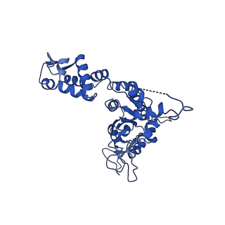 21882_6wrf_E_v1-1
ClpX-ClpP complex bound to GFP-ssrA, recognition complex