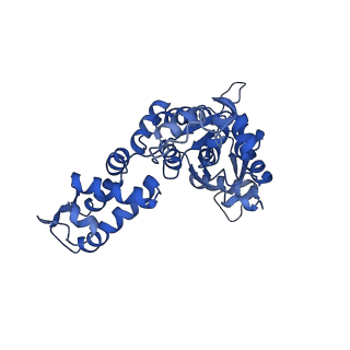 21882_6wrf_F_v1-0
ClpX-ClpP complex bound to GFP-ssrA, recognition complex
