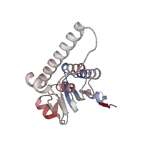 21882_6wrf_H_v1-0
ClpX-ClpP complex bound to GFP-ssrA, recognition complex