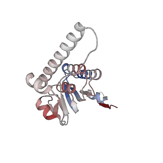 21882_6wrf_H_v1-1
ClpX-ClpP complex bound to GFP-ssrA, recognition complex