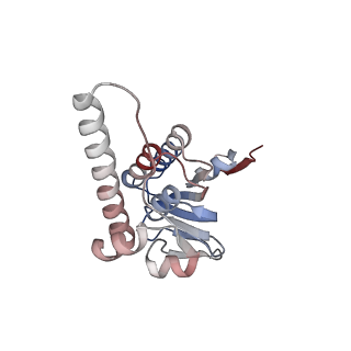 21882_6wrf_I_v1-1
ClpX-ClpP complex bound to GFP-ssrA, recognition complex