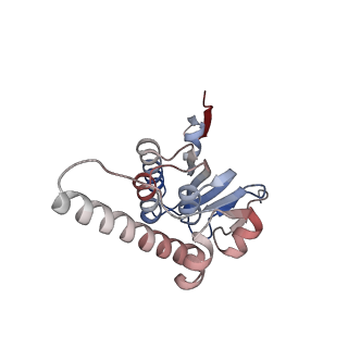 21882_6wrf_J_v1-1
ClpX-ClpP complex bound to GFP-ssrA, recognition complex