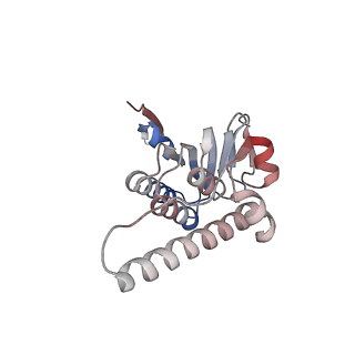 21882_6wrf_K_v1-1
ClpX-ClpP complex bound to GFP-ssrA, recognition complex