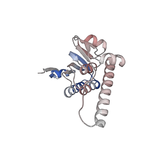 21882_6wrf_L_v1-1
ClpX-ClpP complex bound to GFP-ssrA, recognition complex