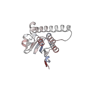 21882_6wrf_N_v1-0
ClpX-ClpP complex bound to GFP-ssrA, recognition complex