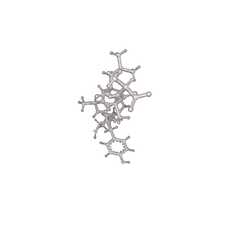 21882_6wrf_S_v1-1
ClpX-ClpP complex bound to GFP-ssrA, recognition complex