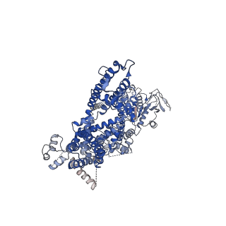 32720_7wra_A_v1-0
Mouse TRPM8 in LMNG in ligand-free state