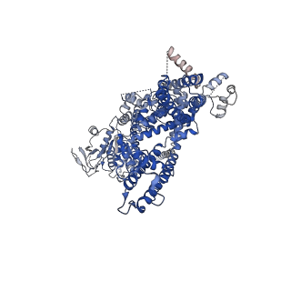 32720_7wra_C_v1-0
Mouse TRPM8 in LMNG in ligand-free state