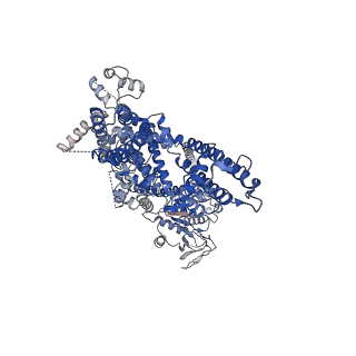 32720_7wra_D_v1-0
Mouse TRPM8 in LMNG in ligand-free state
