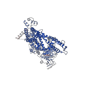 32721_7wrb_D_v1-0
Mouse TRPM8 in LMNG in the presence of calcium
