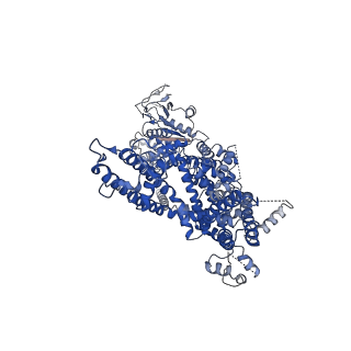 32724_7wre_B_v1-0
Mouse TRPM8 in lipid nanodiscs in the presence of calcium and icilin