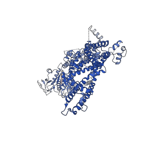 32724_7wre_C_v1-0
Mouse TRPM8 in lipid nanodiscs in the presence of calcium and icilin