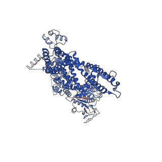 32724_7wre_D_v1-0
Mouse TRPM8 in lipid nanodiscs in the presence of calcium and icilin