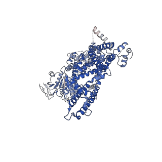 32725_7wrf_C_v1-0
Mouse TRPM8 in lipid nanodiscs in the presence of calcium, icilin and PI(4,5)P2