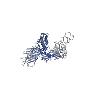 32726_7wrh_A_v1-0
Cryo-EM structure of SARS-CoV-2 Omicron BA.1 spike protein in complex with mouse ACE2