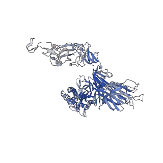 32726_7wrh_B_v1-0
Cryo-EM structure of SARS-CoV-2 Omicron BA.1 spike protein in complex with mouse ACE2