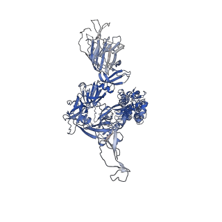 32726_7wrh_C_v1-0
Cryo-EM structure of SARS-CoV-2 Omicron BA.1 spike protein in complex with mouse ACE2