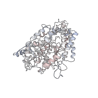 32726_7wrh_D_v1-0
Cryo-EM structure of SARS-CoV-2 Omicron BA.1 spike protein in complex with mouse ACE2