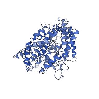 32727_7wri_A_v1-2
Cryo-EM structure of SARS-CoV-2 Omicron spike receptor-binding domain in complex with mouse ACE2