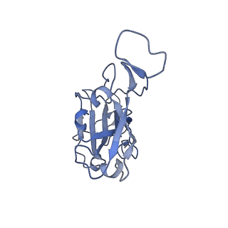 32727_7wri_B_v1-2
Cryo-EM structure of SARS-CoV-2 Omicron spike receptor-binding domain in complex with mouse ACE2