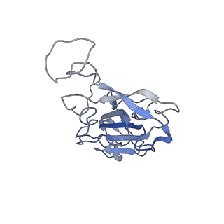 32732_7wrl_R_v1-2
Local structure of BD55-1239 Fab and SARS-COV2 Omicron RBD complex