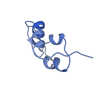 32735_7wrq_C_v1-0
Structure of Human IGF1/IGFBP3/ALS Ternary Complex