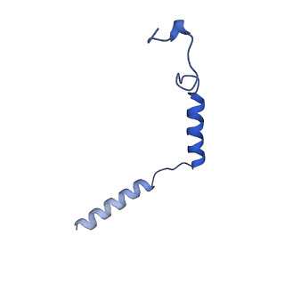 37771_8wrb_C_v1-1
Lysophosphatidylserine receptor GPR34-Gi complex