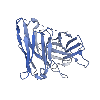 37771_8wrb_E_v1-1
Lysophosphatidylserine receptor GPR34-Gi complex
