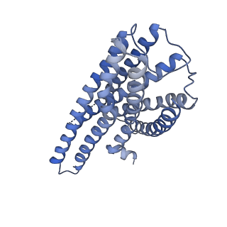 37771_8wrb_R_v1-1
Lysophosphatidylserine receptor GPR34-Gi complex