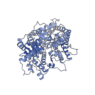 37776_8wrh_A_v1-1
SARS-CoV-2 XBB.1.5.70 in complex with ACE2