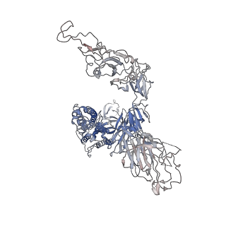 37781_8wrm_C_v1-0
XBB.1.5 spike protein in complex with ACE2