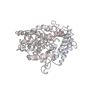 37781_8wrm_D_v1-0
XBB.1.5 spike protein in complex with ACE2