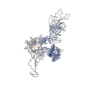 37781_8wrm_F_v1-0
XBB.1.5 spike protein in complex with ACE2