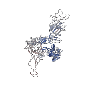 37781_8wrm_F_v1-1
XBB.1.5 spike protein in complex with ACE2