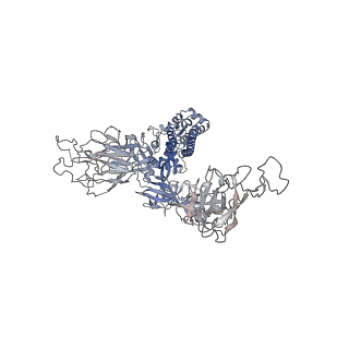 37781_8wrm_G_v1-0
XBB.1.5 spike protein in complex with ACE2