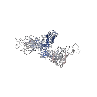 37781_8wrm_G_v1-1
XBB.1.5 spike protein in complex with ACE2