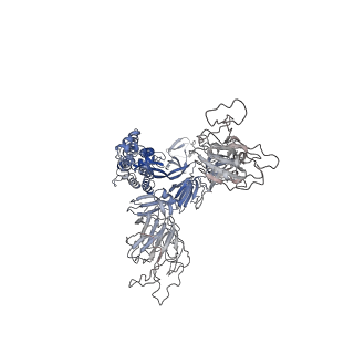 37784_8wro_A_v1-1
XBB.1.5.10 spike protein in complex with ACE2