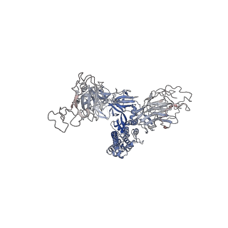 37784_8wro_B_v1-0
XBB.1.5.10 spike protein in complex with ACE2