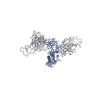 37784_8wro_B_v1-1
XBB.1.5.10 spike protein in complex with ACE2