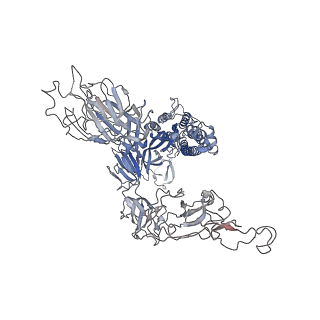 37784_8wro_C_v1-1
XBB.1.5.10 spike protein in complex with ACE2