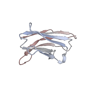 37795_8wrz_H_v1-1
Cry-EM structure of cannabinoid receptor-arrestin 2 complex