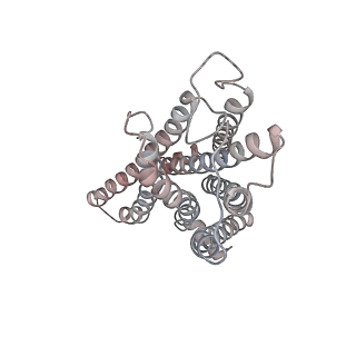 37795_8wrz_R_v1-1
Cry-EM structure of cannabinoid receptor-arrestin 2 complex