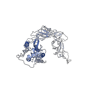 6679_5wrg_A_v1-2
SARS-CoV spike glycoprotein