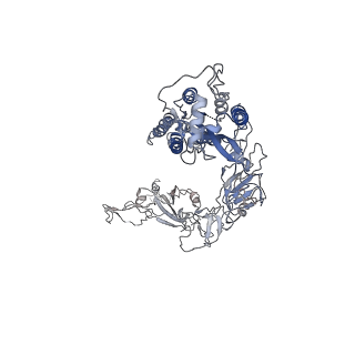 6679_5wrg_B_v1-2
SARS-CoV spike glycoprotein