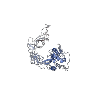 6679_5wrg_C_v1-2
SARS-CoV spike glycoprotein