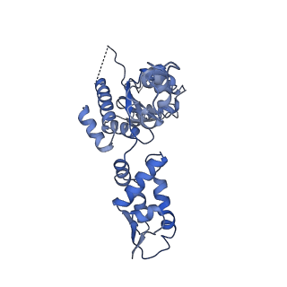 21892_6wsg_A_v1-1
ClpX-ClpP complex bound to ssrA-tagged GFP, intermediate complex