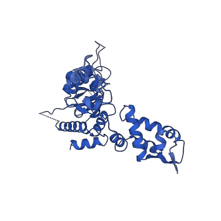 21892_6wsg_B_v1-1
ClpX-ClpP complex bound to ssrA-tagged GFP, intermediate complex